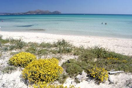 Apartment Alcudia Ocean View エクステリア 写真